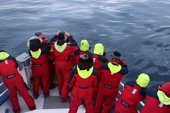 Two-In-One: Whale & Puffin Watching Tours from Reykjavik - Best Season, Weather, and Sightings