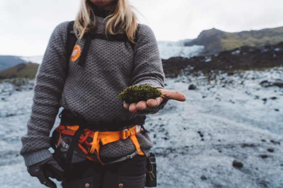 Vatnajökull: Short Glacier Encounter Walk with 4x4 Transfer - Is $122 good value?