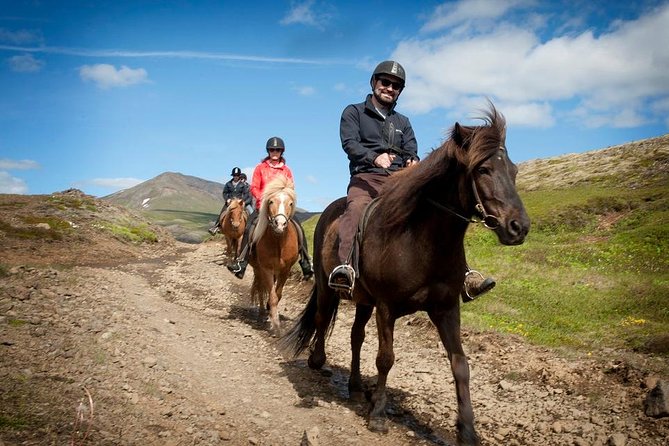 Viking Horse Riding and Golden Circle Tour from Reykjavik - Key points to know before you book