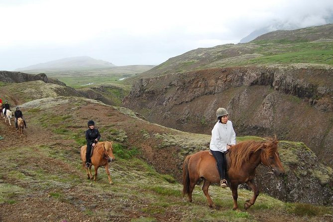 Viking Horse Riding and Golden Circle Tour from Reykjavik - Who should book this combined tour