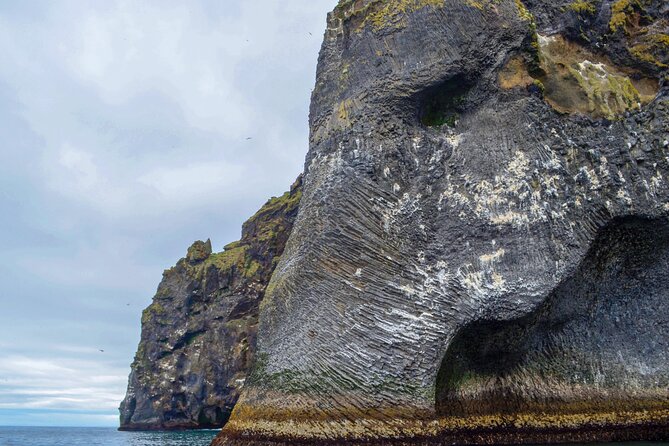 Westman Islands, Volcanoes and Puffins Small Group Tour - Why Heimaey makes a strong day trip