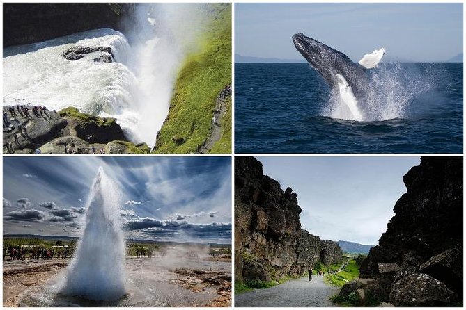 Whale Watching and Golden Circle Tour from Reykjavik - Is $192 a fair price?