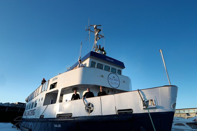 Whale Watching and Marine Life Tour in Reykjavik - Setting out from Reykjavik’s Old Harbour