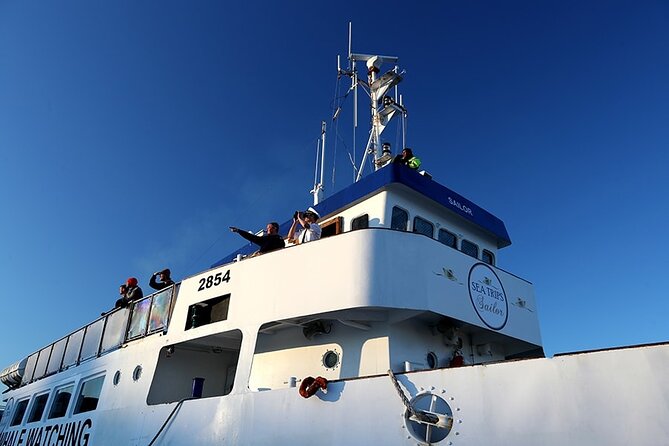 Whale Watching and Marine Life Tour in Reykjavik - Weather, cancellations, and practical limits