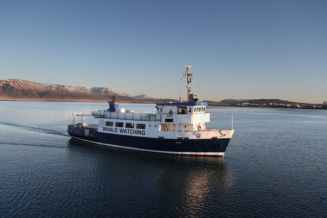 Whale Watching and Marine Life Tour in Reykjavik - Faxaflói Bay is the real stage