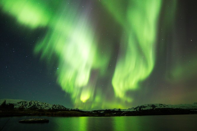 Whale Watching and Northern Lights Half-Day Combo Tour - Two Iceland spectacles in one carefully timed day