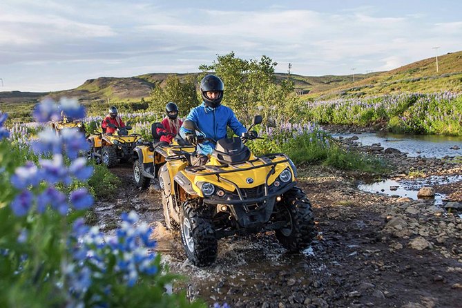 Whale Watching & ATV Adventure from Reykjavik - What to expect on Faxaflói Bay