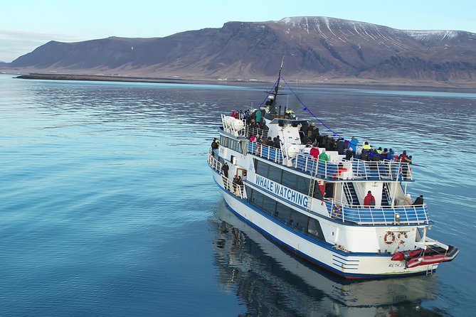 Whale-Watching Boat Tour with Expert Guide from Reykjavik - Choosing between 2.5 and 3.5 hours