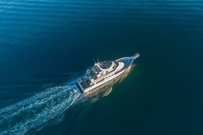 Whale Watching Cruise on a Yacht in Reykjavik - Searching Faxaflói Bay for whales