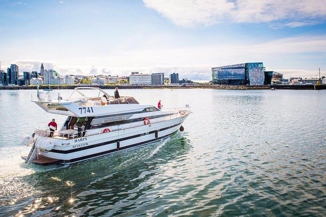 Whale Watching & Dolphin Yacht Cruise - Key things to know before sailing