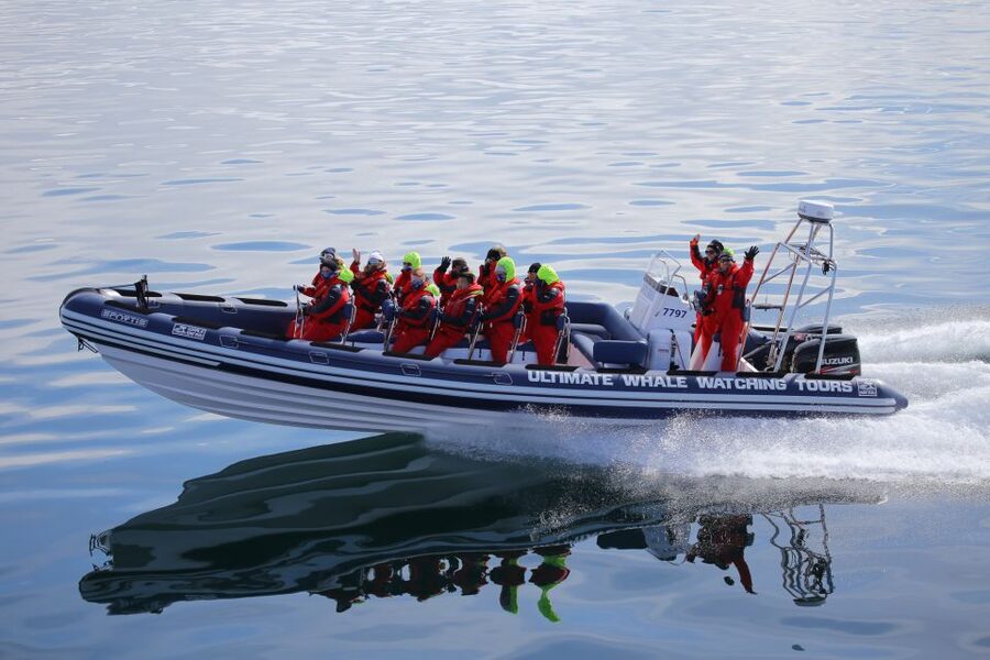 Whale Watching in Reykjavik by Speedboat - Why the speedboat changes whale watching