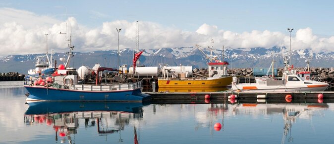 Whale Watching on a Traditional Oak Sailing Ship from Husavik - Key points to know before sailing