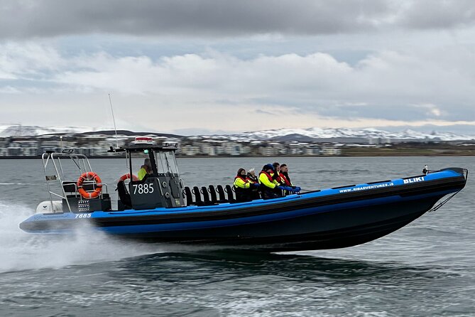 Whale Watching - RIB Boat Adventure in Kopavogur, Iceland - An Hour with Whales, Dolphins, and Possible Puffins