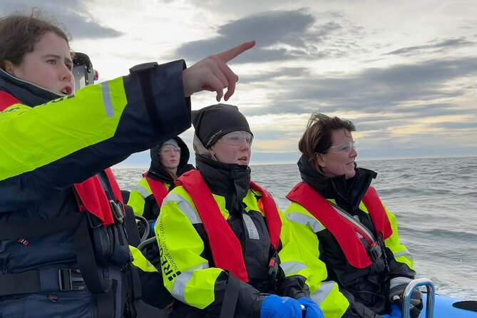 Whale Watching - RIB Boat Adventure in Kopavogur, Iceland - Nauthólsvík Beach and a Taste of Harðfiskur