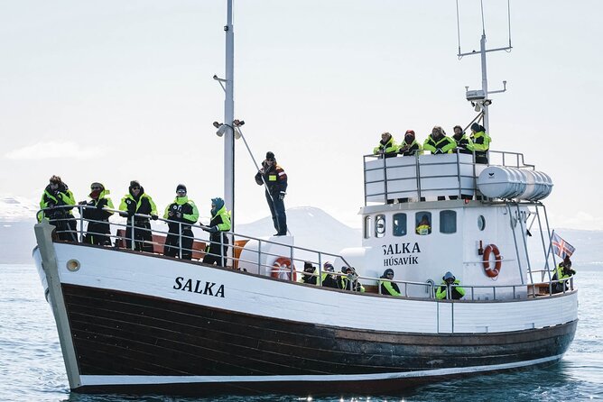 Whales and Puffins Tour from Husavik - What $130 buys you