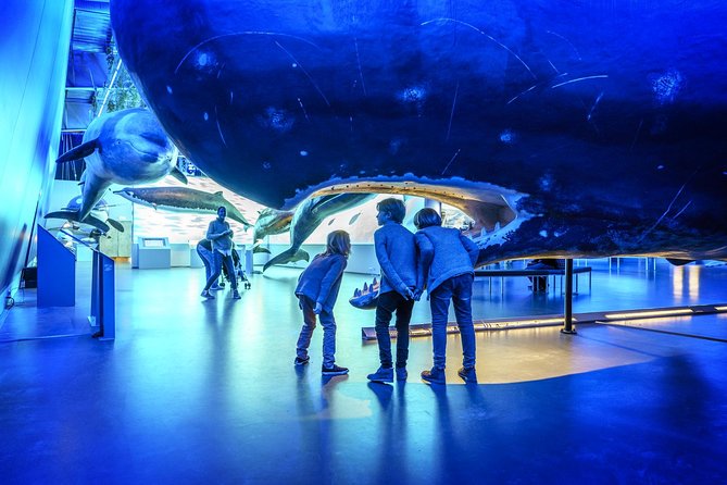 Whales Of Iceland Admission Ticket - The models make size easier to understand