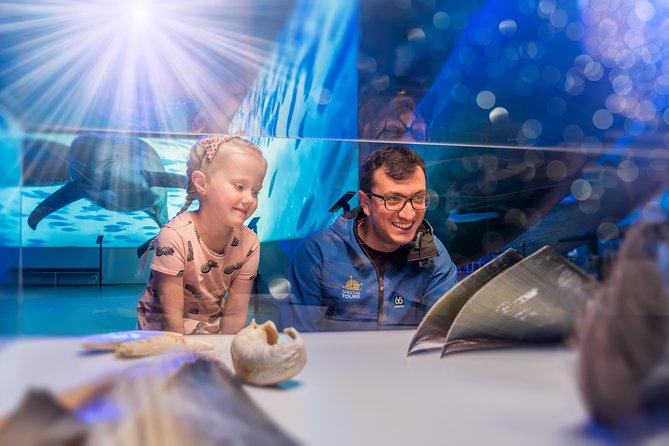 Whales Of Iceland Admission Ticket - The Fin Whale Theatre is worth timing