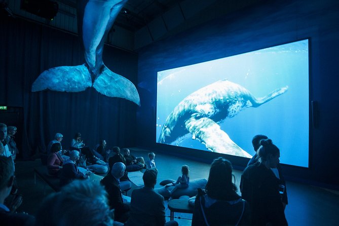 Whales of Iceland from Land and Sea - Who will enjoy this most