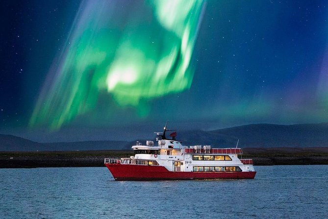 Winter Whale Watching and Northern Lights Cruise from Reykjavik - The three-hour whale watch